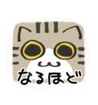 猫の顔だけスタンプ きじしろ（個別スタンプ：6）