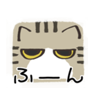 猫の顔だけスタンプ きじしろ（個別スタンプ：9）