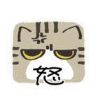 猫の顔だけスタンプ きじしろ（個別スタンプ：10）