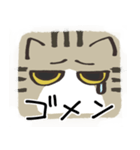 猫の顔だけスタンプ きじしろ（個別スタンプ：11）
