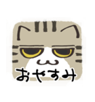 猫の顔だけスタンプ きじしろ（個別スタンプ：13）