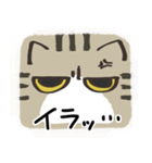 猫の顔だけスタンプ きじしろ（個別スタンプ：15）