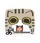 猫の顔だけスタンプ きじしろ（個別スタンプ：16）