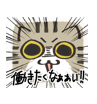 猫の顔だけスタンプ きじしろ（個別スタンプ：21）