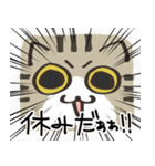 猫の顔だけスタンプ きじしろ（個別スタンプ：22）