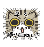 猫の顔だけスタンプ きじしろ（個別スタンプ：24）