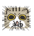 猫の顔だけスタンプ きじしろ（個別スタンプ：25）