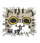 猫の顔だけスタンプ きじしろ（個別スタンプ：27）