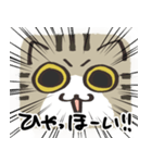 猫の顔だけスタンプ きじしろ（個別スタンプ：29）