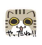 猫の顔だけスタンプ きじしろ（個別スタンプ：31）