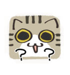 猫の顔だけスタンプ きじしろ（個別スタンプ：34）