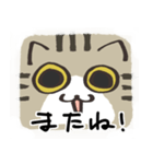 猫の顔だけスタンプ きじしろ（個別スタンプ：35）