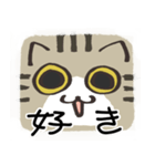 猫の顔だけスタンプ きじしろ（個別スタンプ：37）