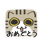 猫の顔だけスタンプ きじしろ（個別スタンプ：38）