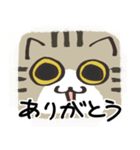 猫の顔だけスタンプ きじしろ（個別スタンプ：39）