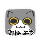 猫の顔だけスタンプ グレーしろ（個別スタンプ：1）