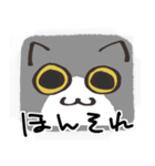 猫の顔だけスタンプ グレーしろ（個別スタンプ：5）
