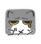 猫の顔だけスタンプ グレーしろ（個別スタンプ：11）