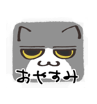 猫の顔だけスタンプ グレーしろ（個別スタンプ：13）