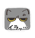 猫の顔だけスタンプ グレーしろ（個別スタンプ：15）