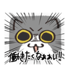 猫の顔だけスタンプ グレーしろ（個別スタンプ：21）