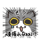 猫の顔だけスタンプ グレーしろ（個別スタンプ：23）