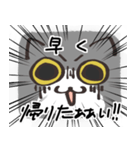 猫の顔だけスタンプ グレーしろ（個別スタンプ：24）