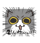 猫の顔だけスタンプ グレーしろ（個別スタンプ：26）