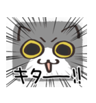 猫の顔だけスタンプ グレーしろ（個別スタンプ：28）