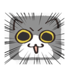 猫の顔だけスタンプ グレーしろ（個別スタンプ：30）