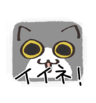 猫の顔だけスタンプ グレーしろ（個別スタンプ：36）