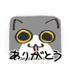 猫の顔だけスタンプ グレーしろ（個別スタンプ：39）
