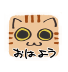 猫の顔だけスタンプ ちゃとら（個別スタンプ：1）