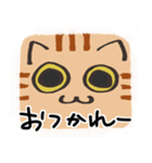 猫の顔だけスタンプ ちゃとら（個別スタンプ：2）