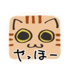 猫の顔だけスタンプ ちゃとら（個別スタンプ：3）