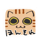 猫の顔だけスタンプ ちゃとら（個別スタンプ：5）