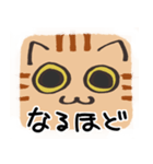 猫の顔だけスタンプ ちゃとら（個別スタンプ：6）