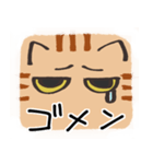 猫の顔だけスタンプ ちゃとら（個別スタンプ：11）