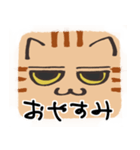 猫の顔だけスタンプ ちゃとら（個別スタンプ：13）