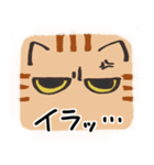 猫の顔だけスタンプ ちゃとら（個別スタンプ：15）