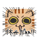 猫の顔だけスタンプ ちゃとら（個別スタンプ：22）