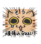 猫の顔だけスタンプ ちゃとら（個別スタンプ：23）