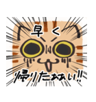 猫の顔だけスタンプ ちゃとら（個別スタンプ：24）