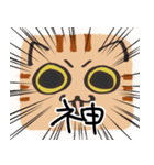 猫の顔だけスタンプ ちゃとら（個別スタンプ：25）