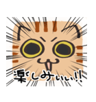 猫の顔だけスタンプ ちゃとら（個別スタンプ：26）