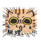 猫の顔だけスタンプ ちゃとら（個別スタンプ：27）