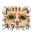 猫の顔だけスタンプ ちゃとら（個別スタンプ：28）