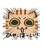 猫の顔だけスタンプ ちゃとら（個別スタンプ：29）