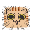 猫の顔だけスタンプ ちゃとら（個別スタンプ：30）
