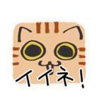 猫の顔だけスタンプ ちゃとら（個別スタンプ：36）